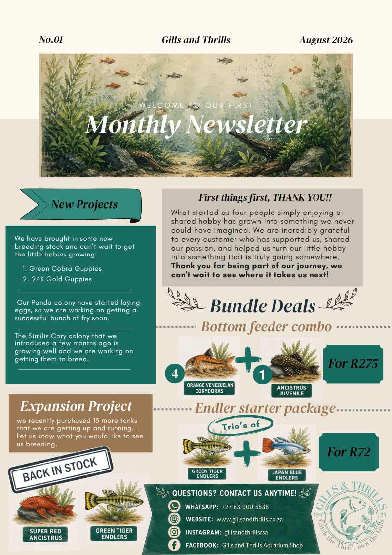 Gt Monthly Newsletter Aug26